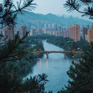 为什么扫描不上电脑文件